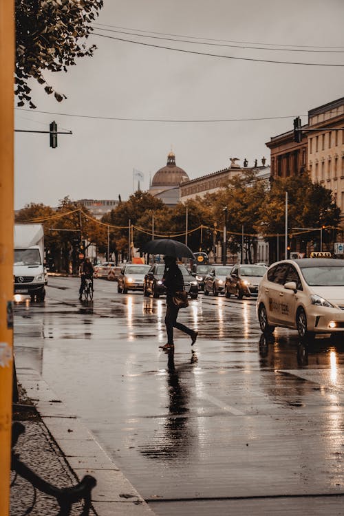 Foto profissional grátis de automóveis, carros, chuva