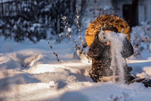 下雪的, 冬季, 冰 的 免费素材图片