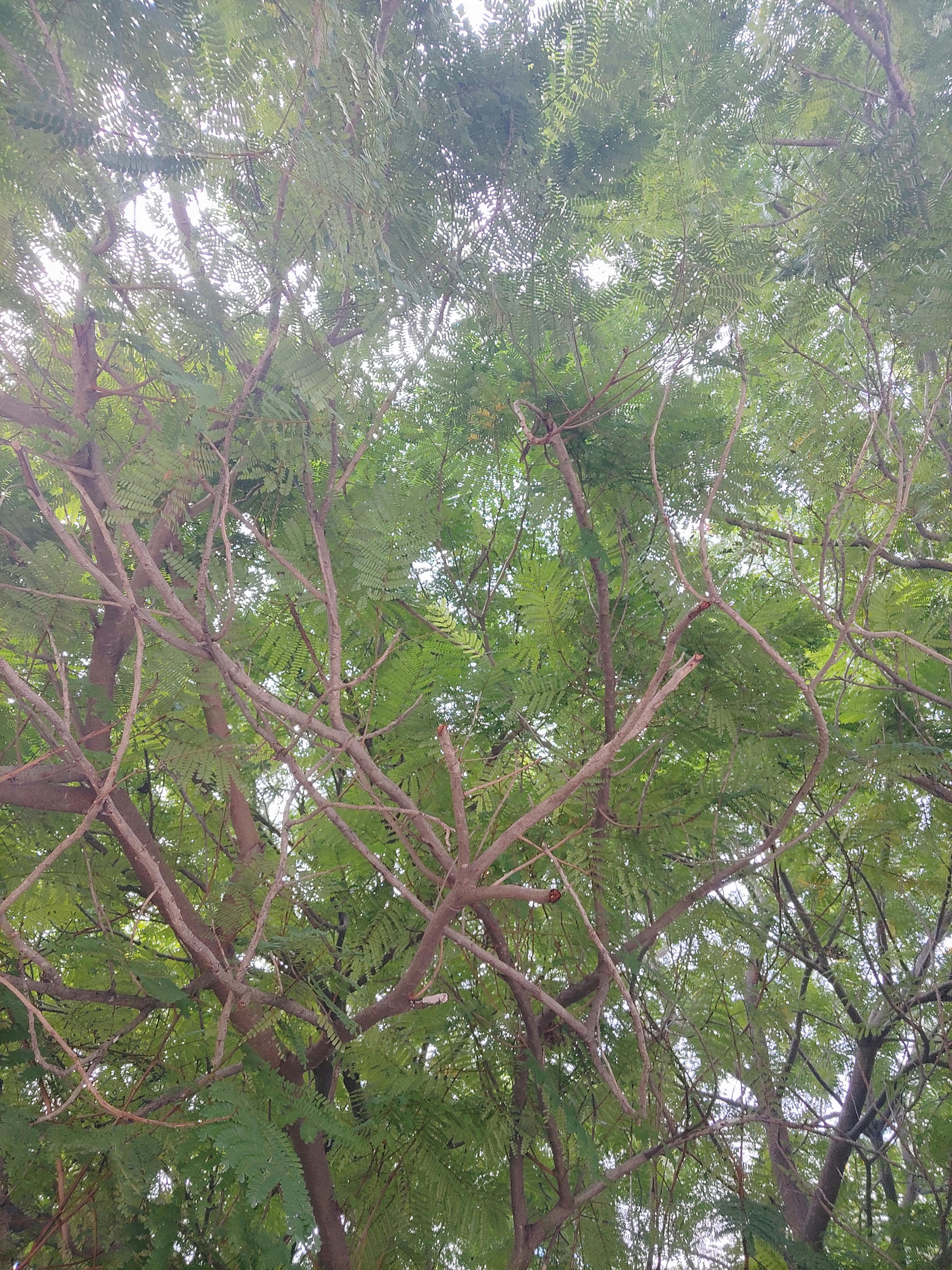 Construction worker throwing debris into a large roll-off dumpster on a building site.
