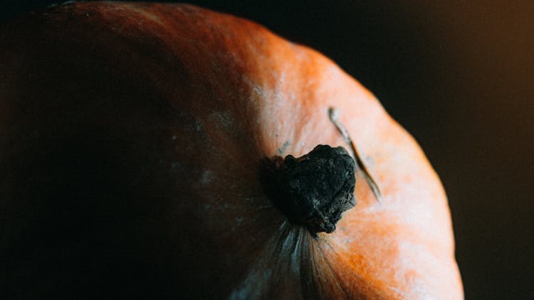 Pumpkin In Close Up