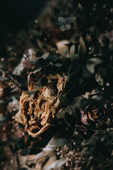 Close-up of dried, wilted flowers and leaves, evoking nostalgia and the passage of time.