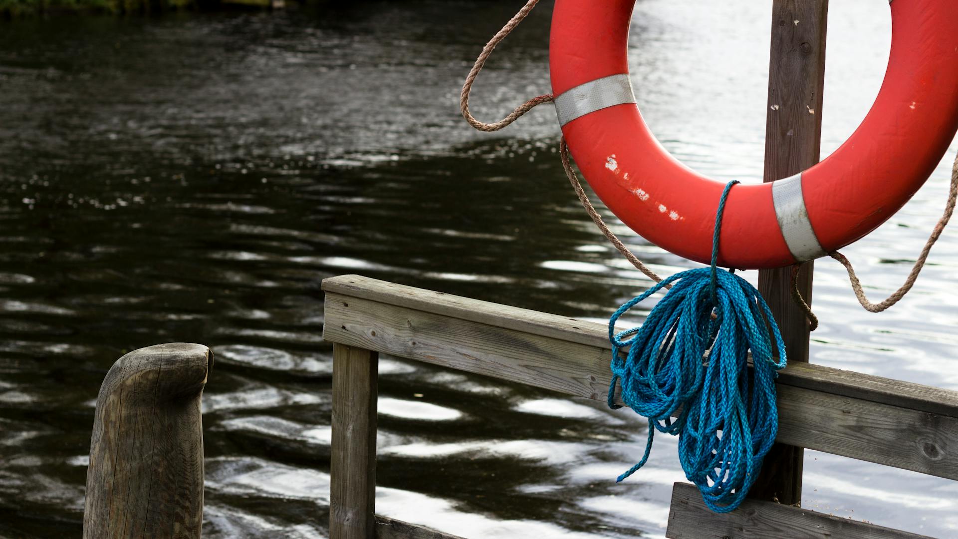 Round Red and Gray Body Floaters on Board