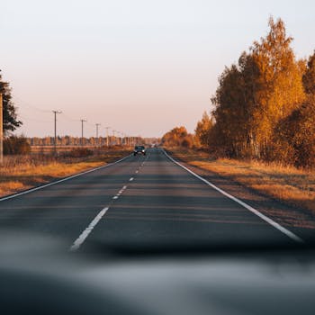 Capture the essence of fall on a tranquil country road lined with golden trees.