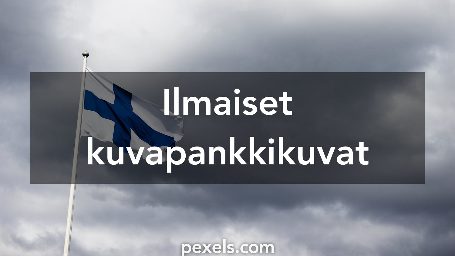 9 000+ parasta kuvaa aiheesta Suomen Lippu · Täysin ilmainen lataus ·  Pexels-kuvituskuvapankkikuvat