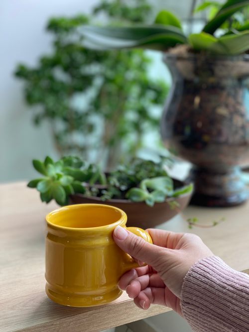Free A hand holding a yellow mug beside indoor plants on a wooden table. Stock Photo
