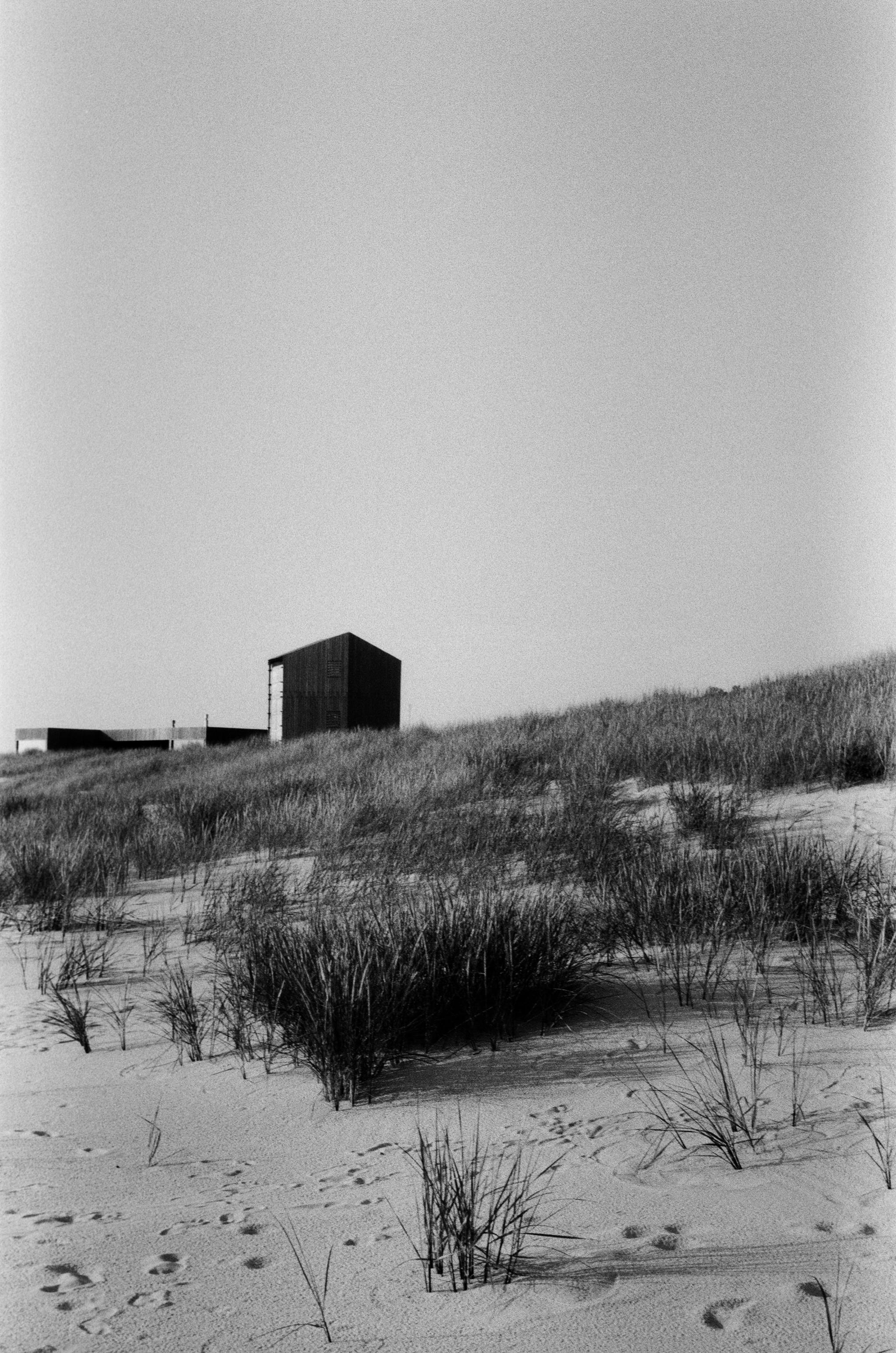 A serene black and white photo of a sandy coastal landscape in Kaliningrad.