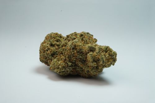 Free stock photo of caliweed, cannabis, gelato Stock Photo