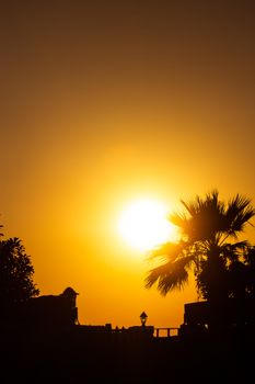 Captivating silhouette of palm trees against a vibrant sunset glow, showcasing nature's beauty at dusk.