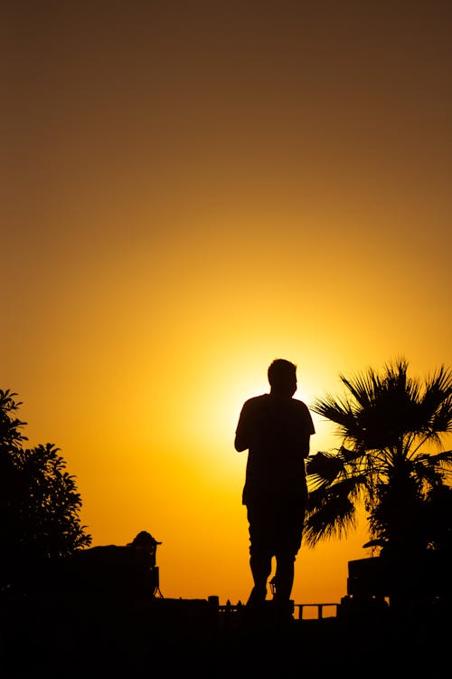 Silhouette of a Person Standing during Sunset