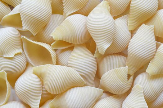 Detailed close-up of raw conchiglie pasta shells showcasing their textured ridges and natural color.