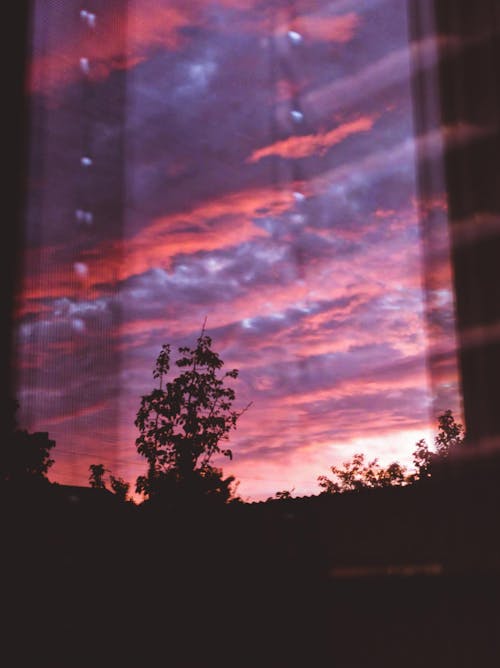 ゴールデンアワー, 日没の無料の写真素材