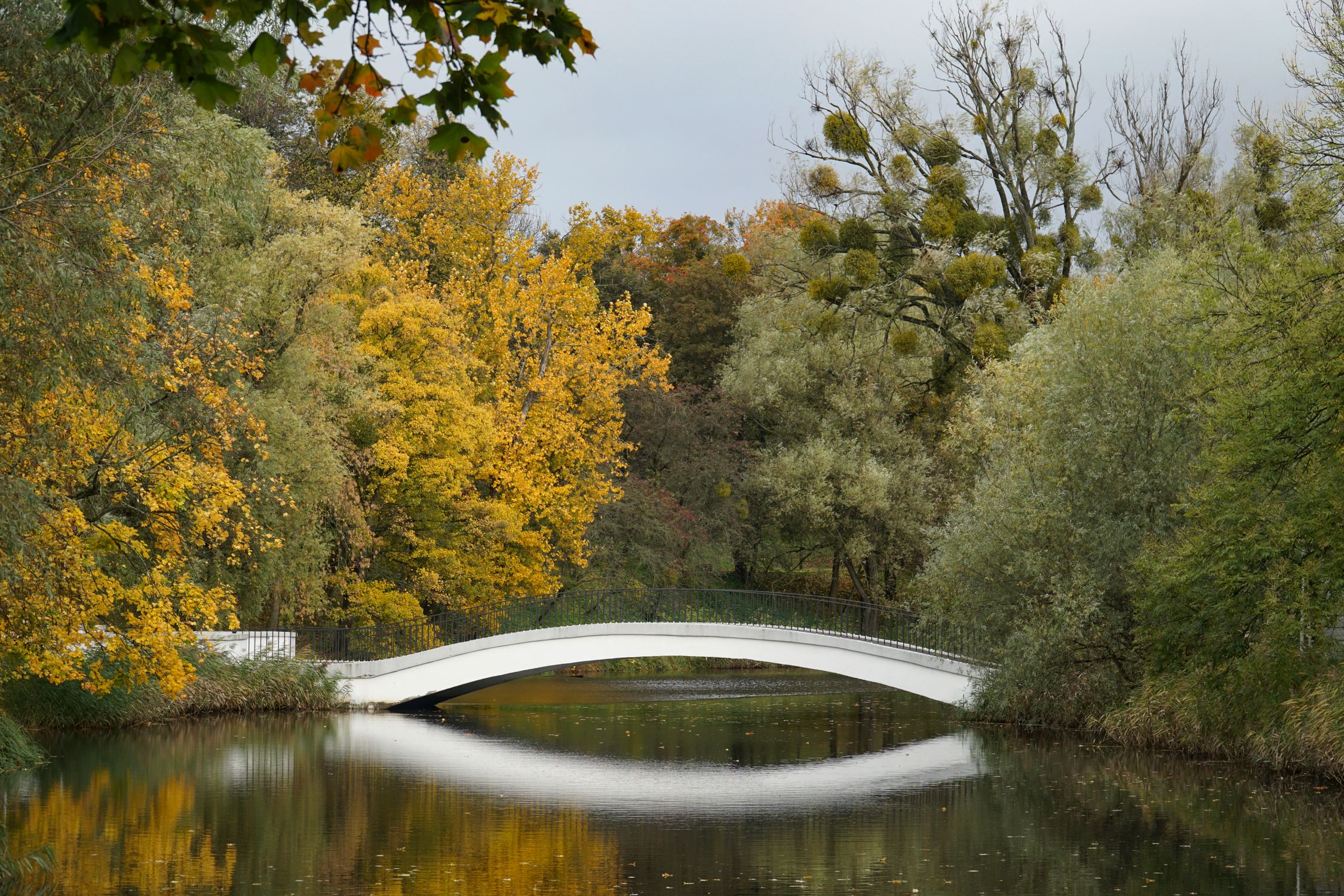 White Bridge in Park · Free Stock Photo