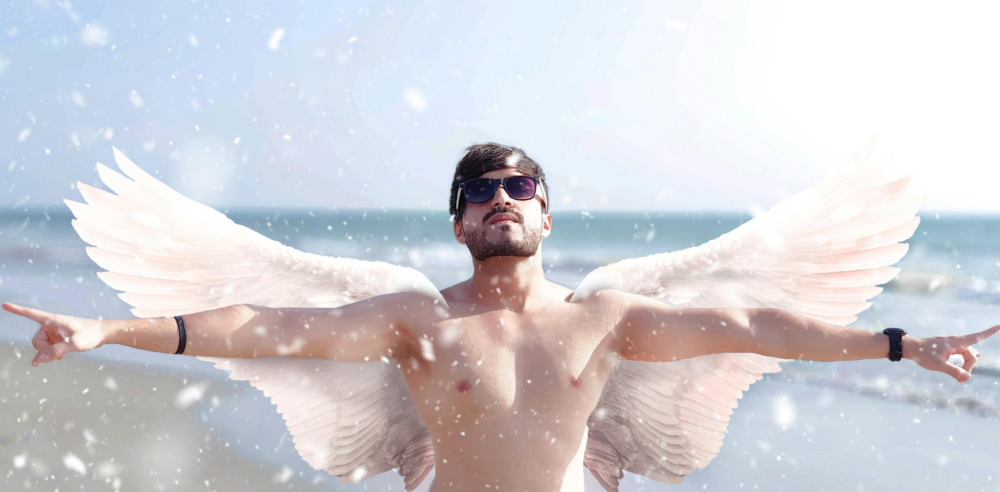Free stock photo of angel, wings