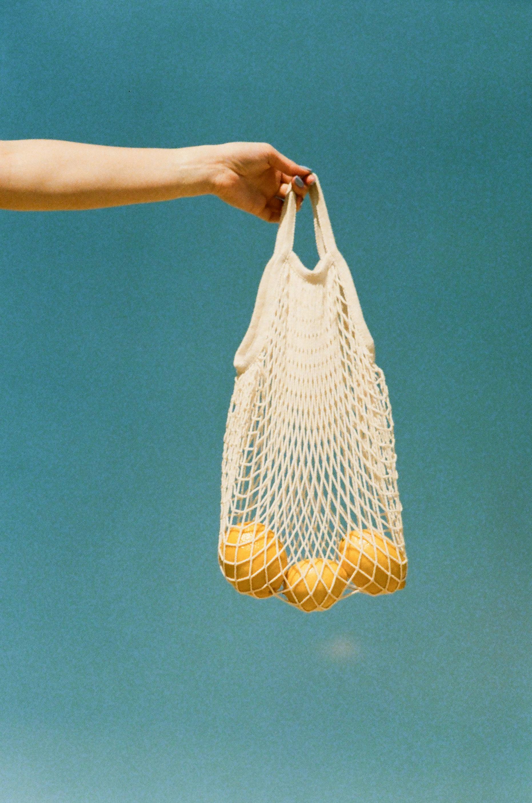 hand holding net bag with lemons