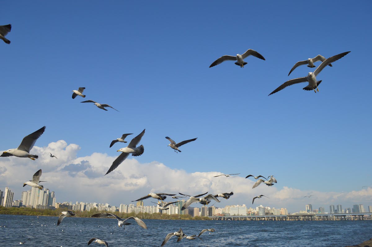 Sunglasses: More Than Eye Protection, A Style Statement