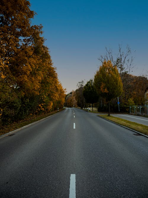 Free A Road under a Clear Blue Sky Stock Photo