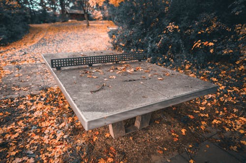 Free Tennis Table in the Park  Stock Photo