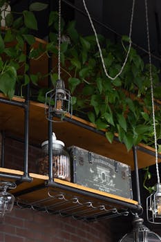 Inviting café interior featuring lush greenery and stylish shelving in Kaliningrad.