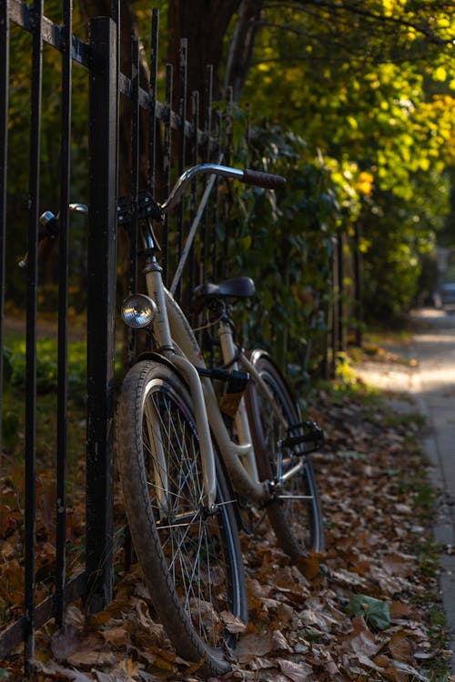 Безкоштовне стокове фото на тему «велосипед, вертикальні постріл, паркан»