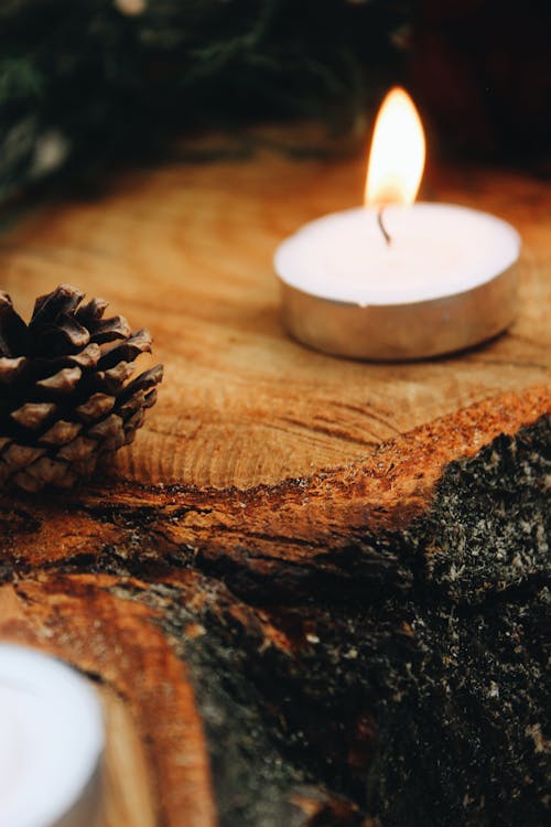 Lighted Candle Beside a Conifer Cone
