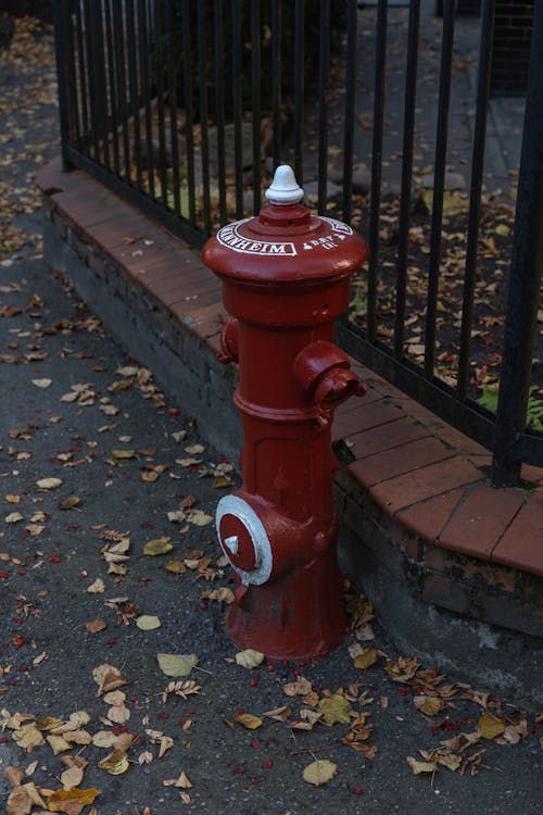 Foto profissional grátis de hidrante, natureza-morta, rua