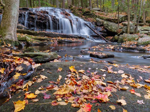 Fotos de stock gratuitas de al aire libre, caídas, cascada