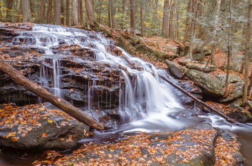 Waterfalls in the Forest