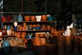 Fern & Flint — terracotta pots on a workshop shelf, photo by Sami Aksu on Pexels