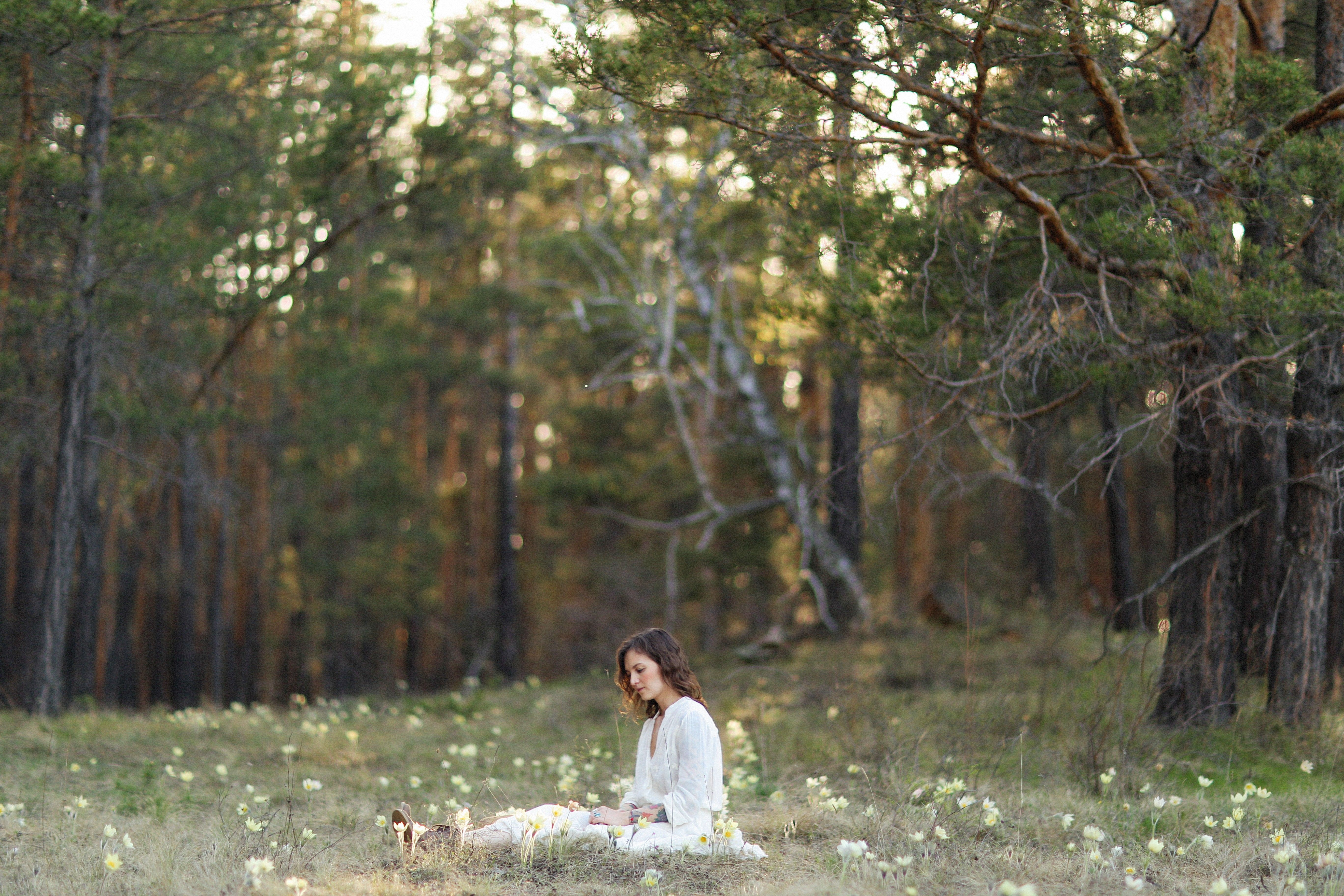 A woman with long hair sits peacefully in a meadow of flowers within a lush forest.