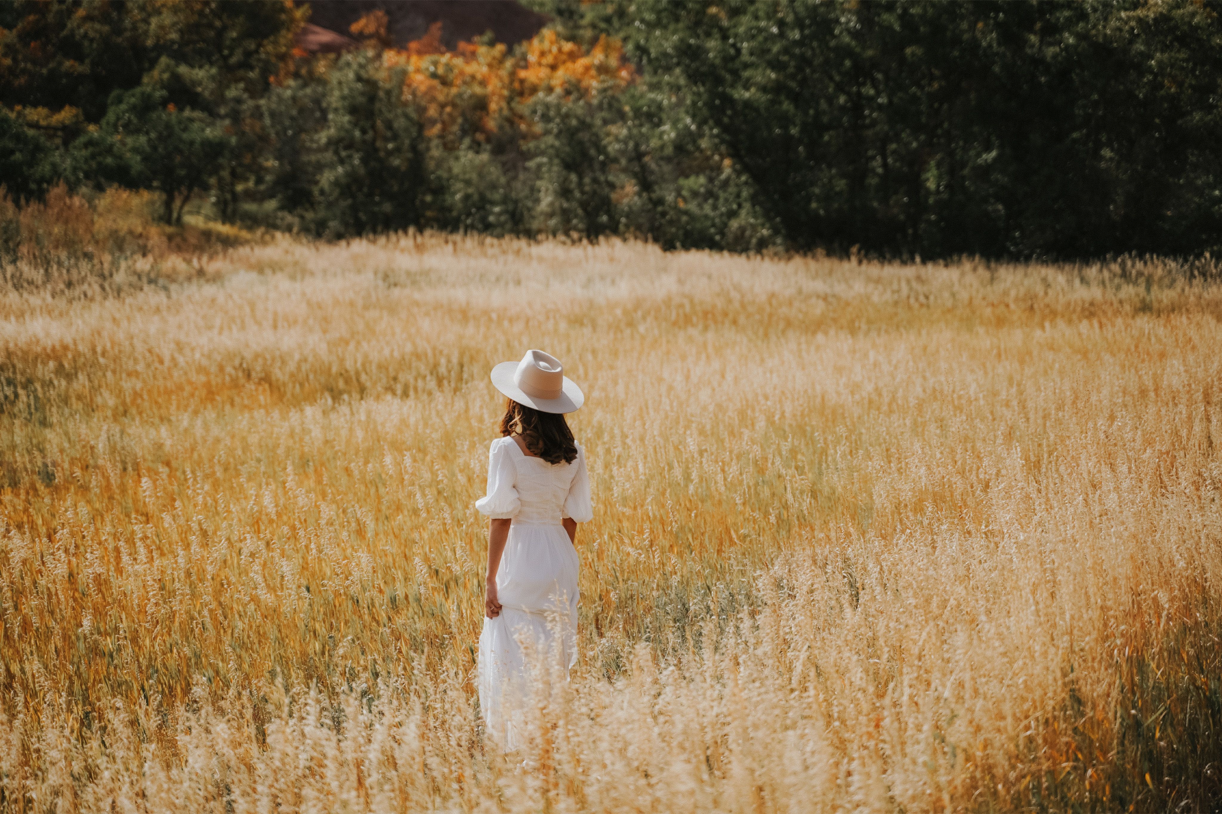 Woman in White Dress Walking Through Field · Free Stock Photo