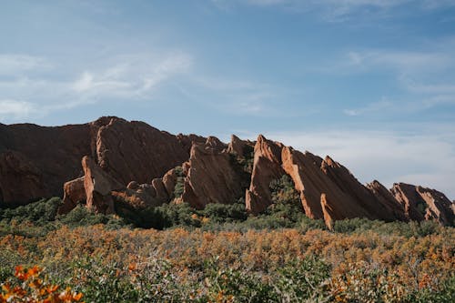 Free Rock Formation, Trees and Flowers  Stock Photo