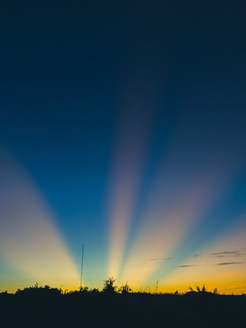 Gratis stockfoto met aesthetisch, blauwe lucht, bomen