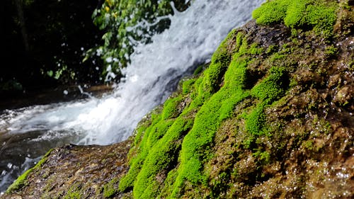 Free Photo of Waterfalls Stock Photo