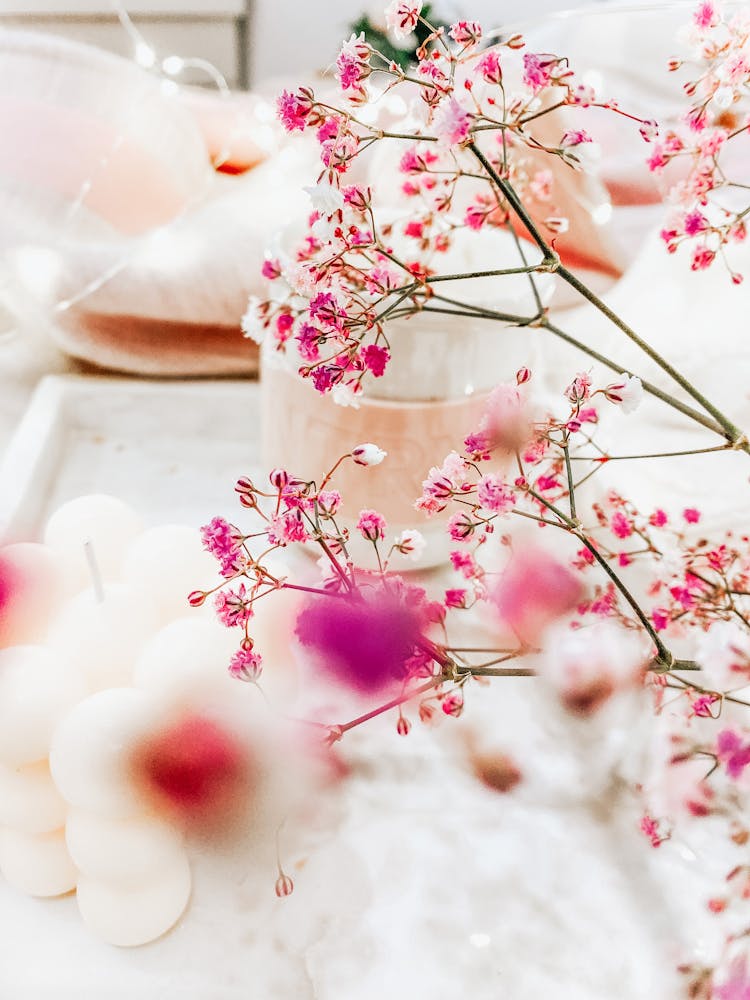 Close Up Of Thin Pink Flowers