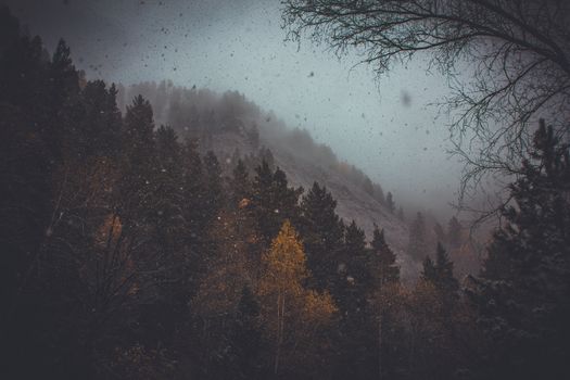 Misty autumn forest with snowflakes falling over trees and hills, creating a serene and mystical atmosphere.