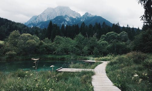 mountins, 天性, 旅遊 的 免費圖庫相片