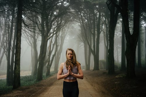 Fotos de stock gratuitas de adulto, al aire libre, árbol