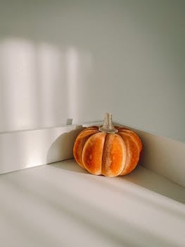 A pumpkin placed in a bright, minimalistic corner casting soft shadows, ideal for autumn themes.