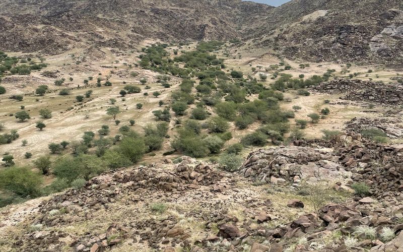 Best Hiking Trails in Saudi Arabia (Ranked by a Local)