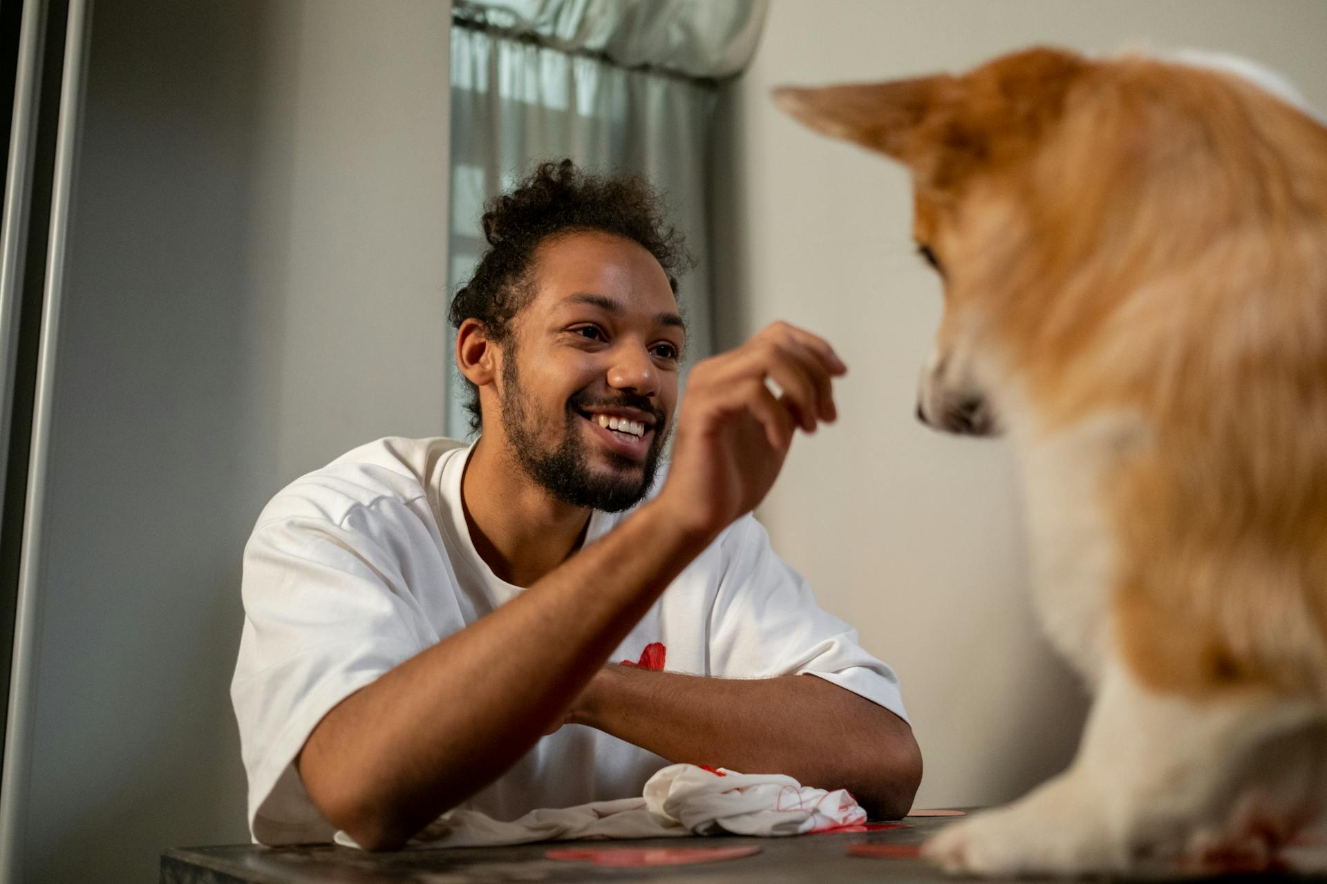 Man Playing with Corgi on Valentines Day