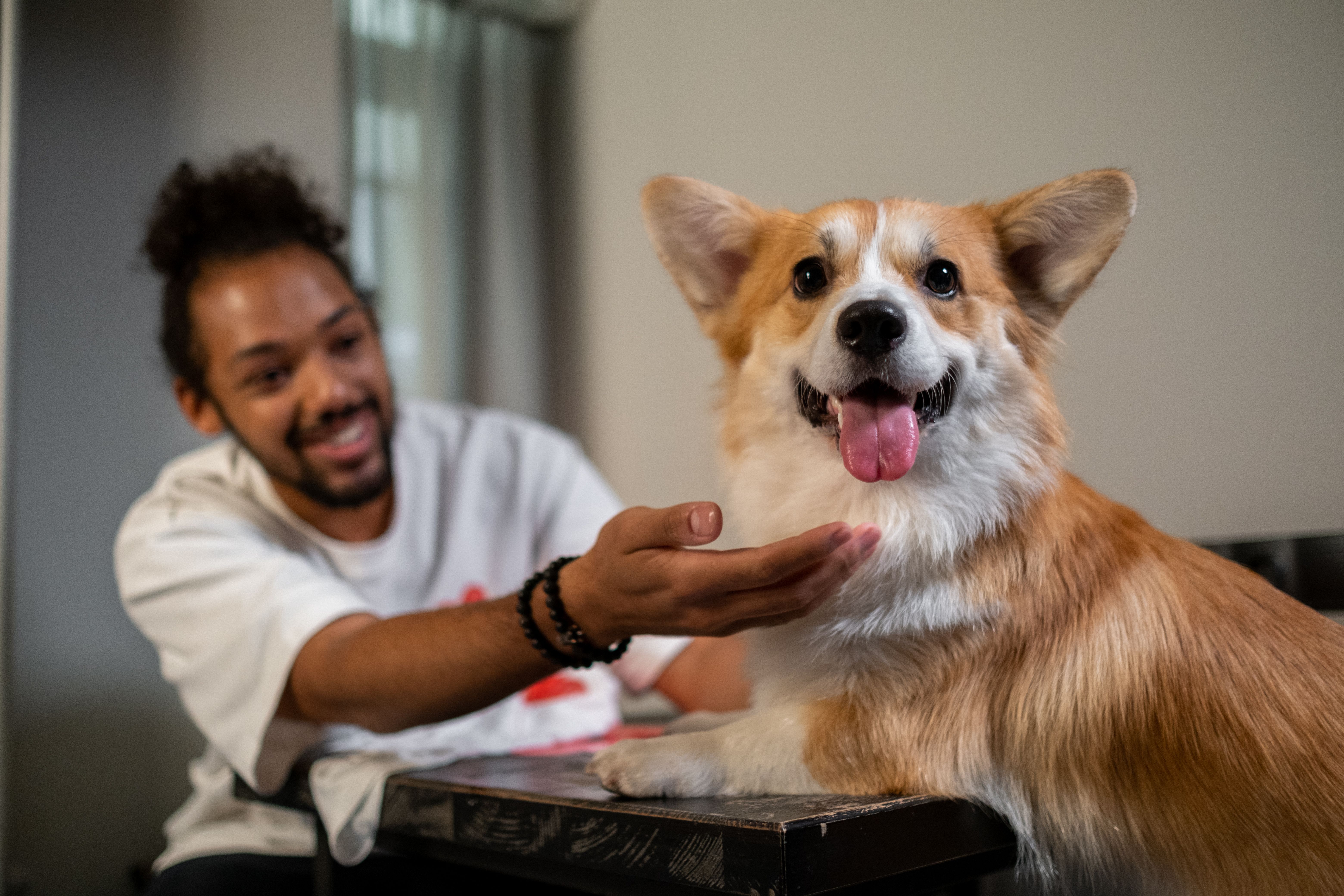 How to Bathe a Dog the Right Way (Without the Wrestling Match)