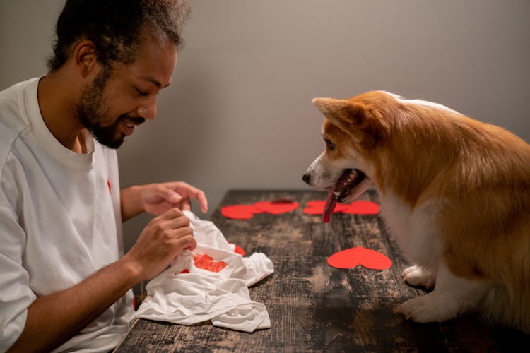 Dog Watching At Man Holding T-shirt