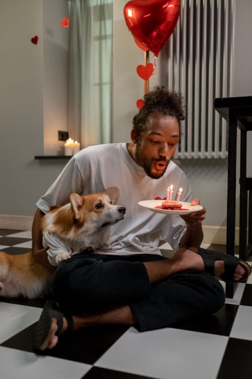 Free A man and his corgi celebrate an indoor event with candles and heart decor. Stock Photo