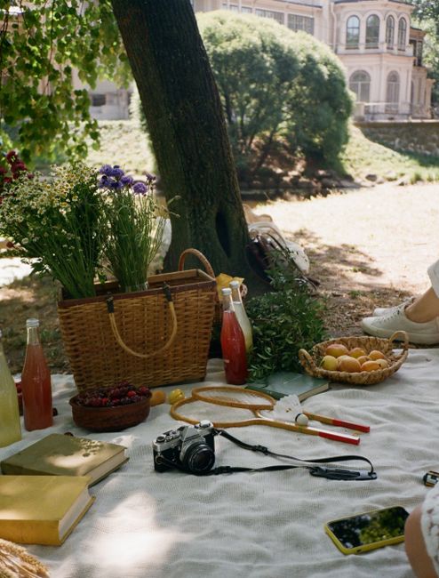 Capture a serene summer picnic under a tree with a vintage camera, fresh flowers, and fruits, perfect for outdoor relaxation.