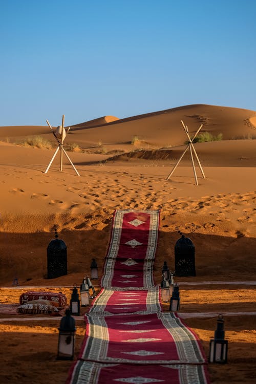 Imagine de stoc gratuită din apus, arbuști, arid