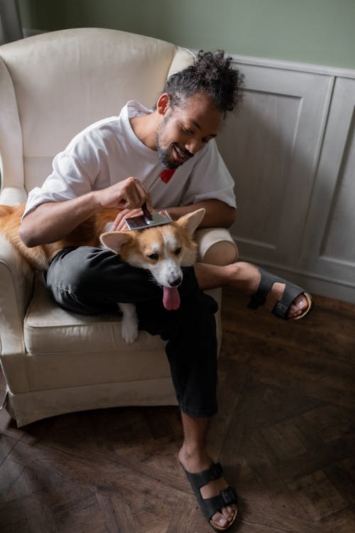 A Man Brushing a Dog 