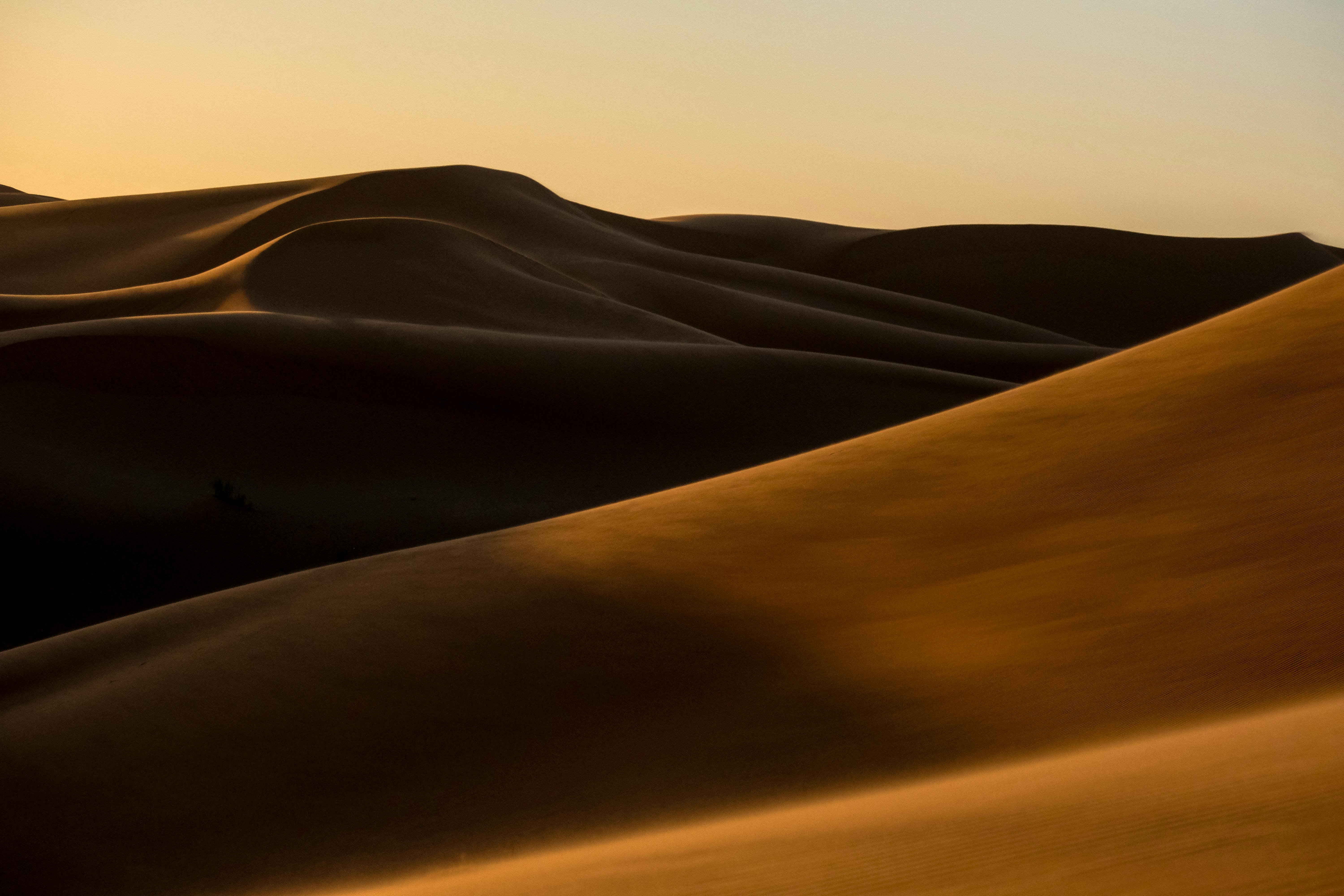 Closeup Photo of Desert Sands · Free Stock Photo