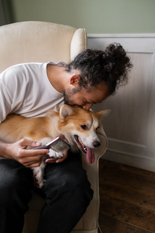 Free Man Petting a Brown Dog Stock Photo