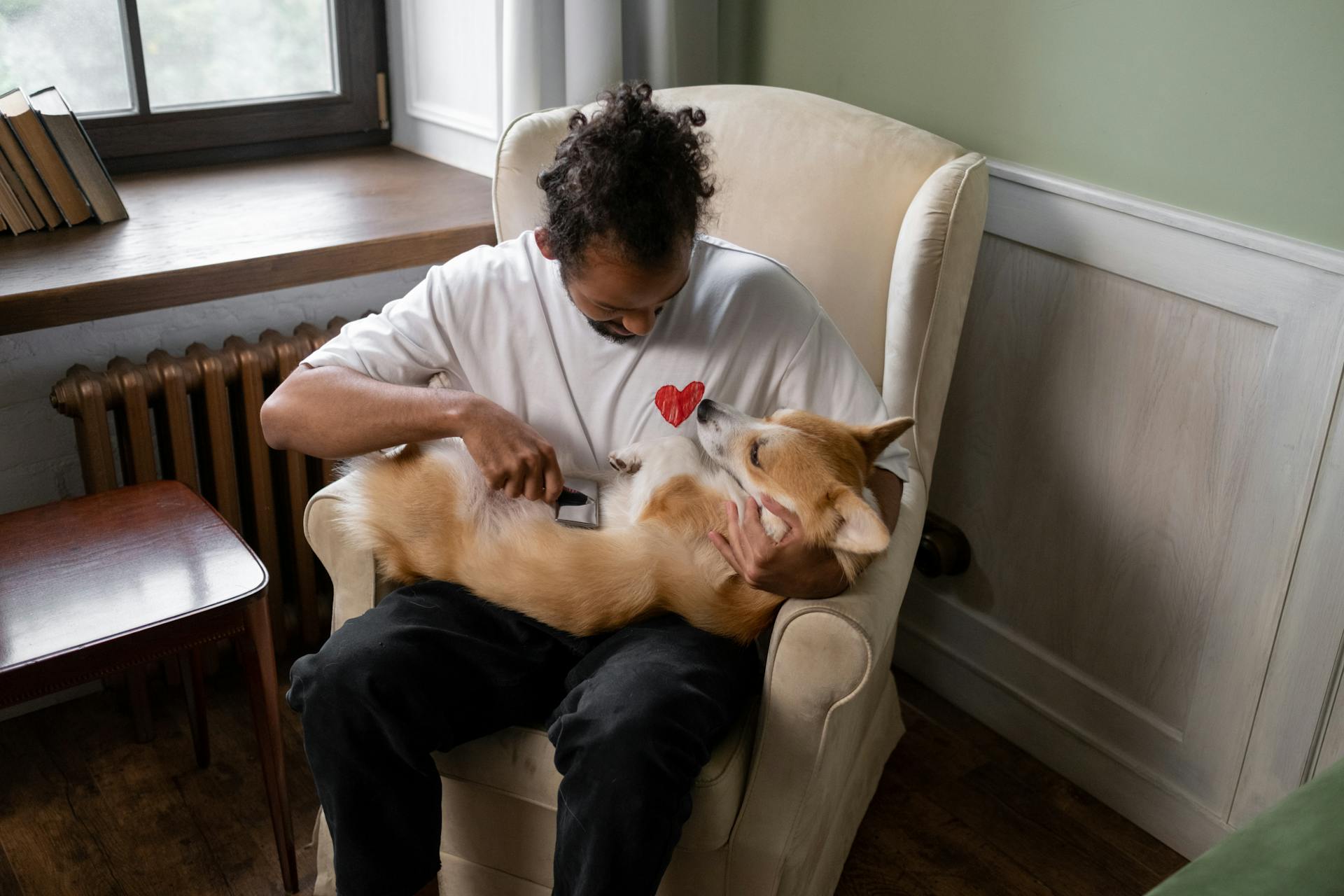 A Man Brushing His Pet Dog