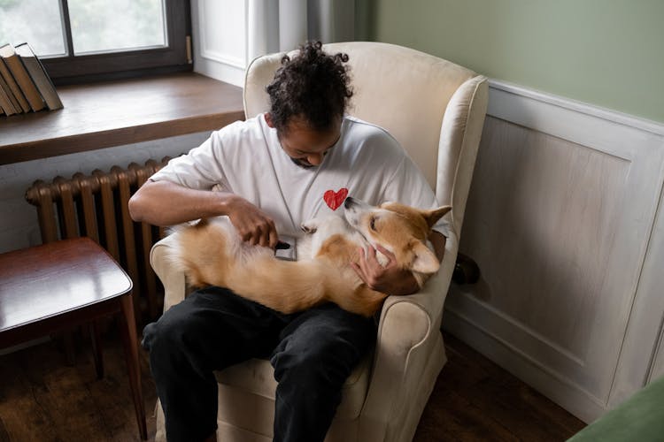 A Man Brushing His Pet Dog 